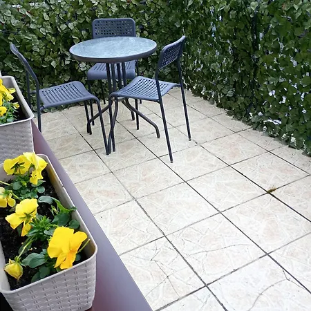 Wolki * Новы Сонч