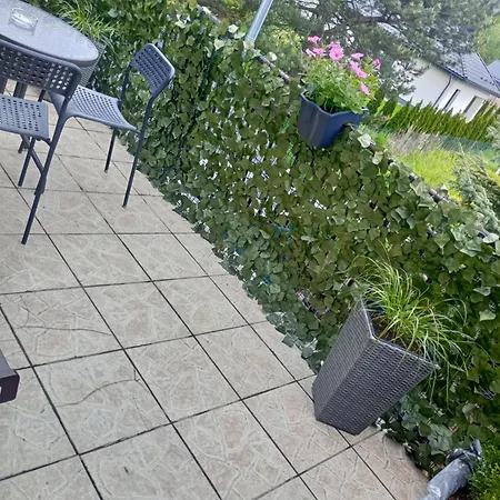 Апартаменты Wolki Новы Сонч